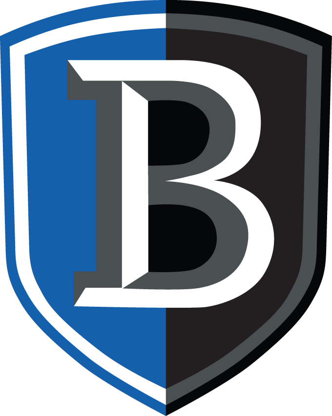 Bentley Falcons 2013-Pres Primary Logo diy iron on heat transfer